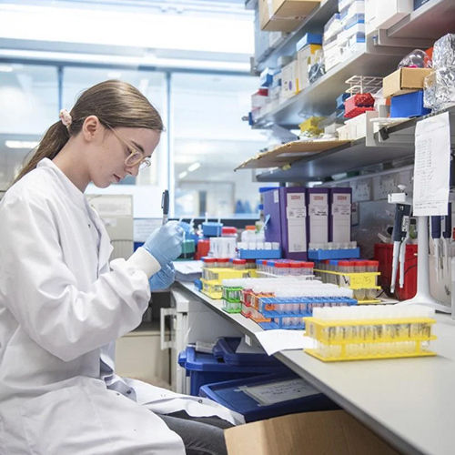 Shaanxi Baisifu Biological Engineering Co., Ltd. fabriek productielijn