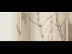 Essentiële olie van de theeboom Lavendelolie Peppermuntelolie Kamferboom cerebrololie Rozen essentiële olie Euca