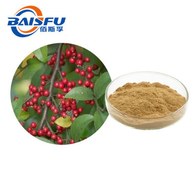 Malaysia Natural Pubescent Holly Root Extract Powder With Cold Temperature Storage