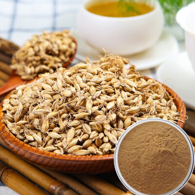 Baisfu Pure Natural Fructus Hordei Germinatus P.E best Quality Brown Yellow Fine Powder For Food Beverage and cosmetic