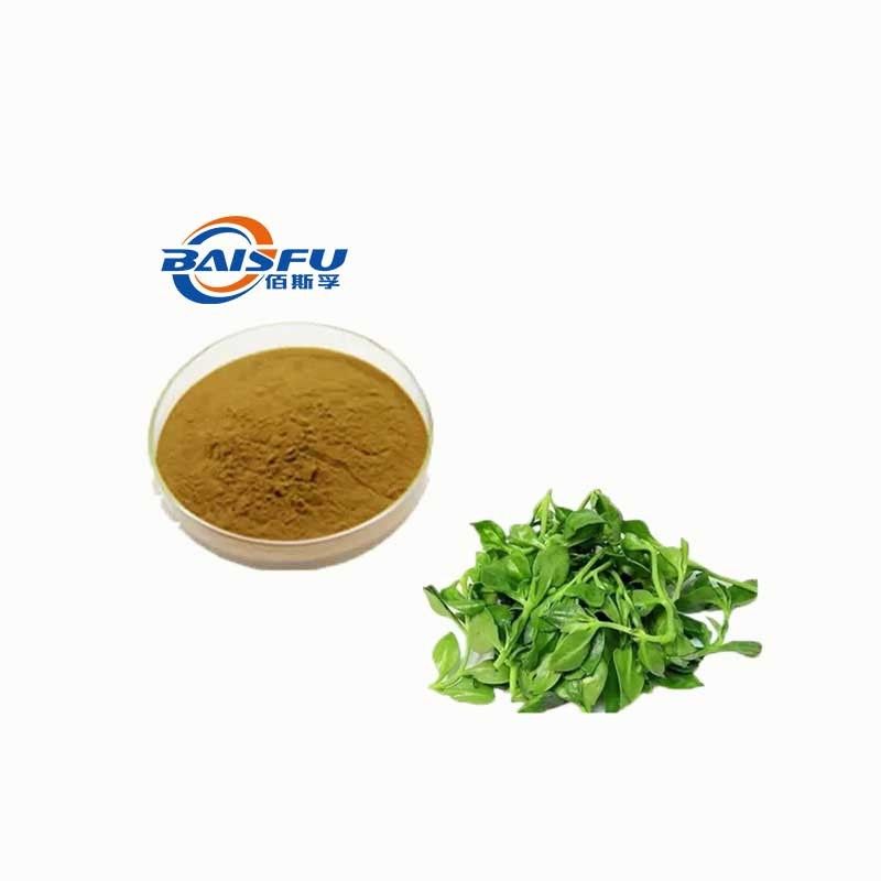 Baisfu plant extract powder Natural Herb Andrographis Paniculata Extract 98% Andrographolide10%.20% HPLC used in Food industry