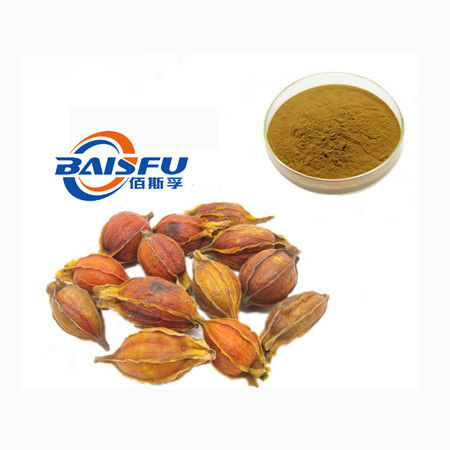 Baisfu Top Brownish-yellow powder  Hovenia Dulcis Thunb. P.E. Hot Selling - With Low MOQ use in cosmetics and food