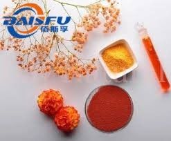 Baisfu plant powder 98% Top Quality Lutein esters Yellow/reddish brown powder use in dietary supplement and food additive