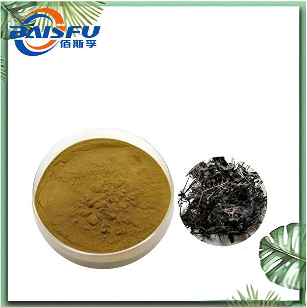 Baisfu Pure Plant Extract Gynostemma Plant Extract Cosmetic Raw Material 1kg 25kg Yellowish Powder Gynostemma Leaf  Gynostemma CAS NO.15588-68-8 for nutritional supplement