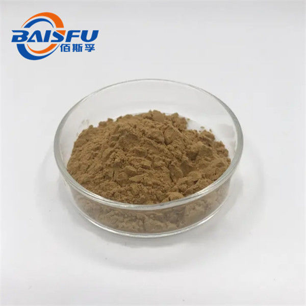 100% High Quality Akebia Caulis Extract / Akebia Caulis Extract Powder / Akebia Stem P.E.
