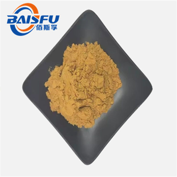 Malaysia Natural Pubescent Holly Root Extract Powder With Cold Temperature Storage