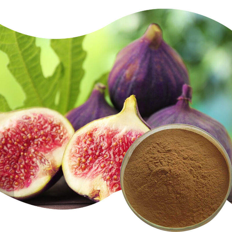 Baisfu Wholesale Ficus Carica Extract High Quality Brown Fine Powder Water-soluble for Health Supplements and Food Additive