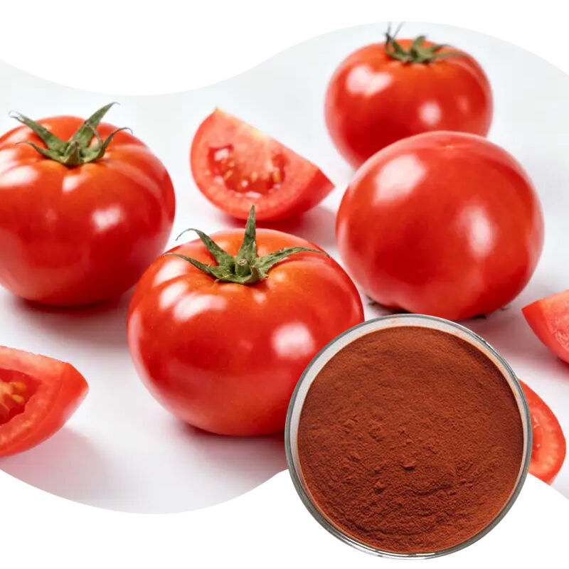 Baisfu Best Quality Lycopene Extract Powder Dark Red Fine Powder for Health Supplements and Natural Colorant
