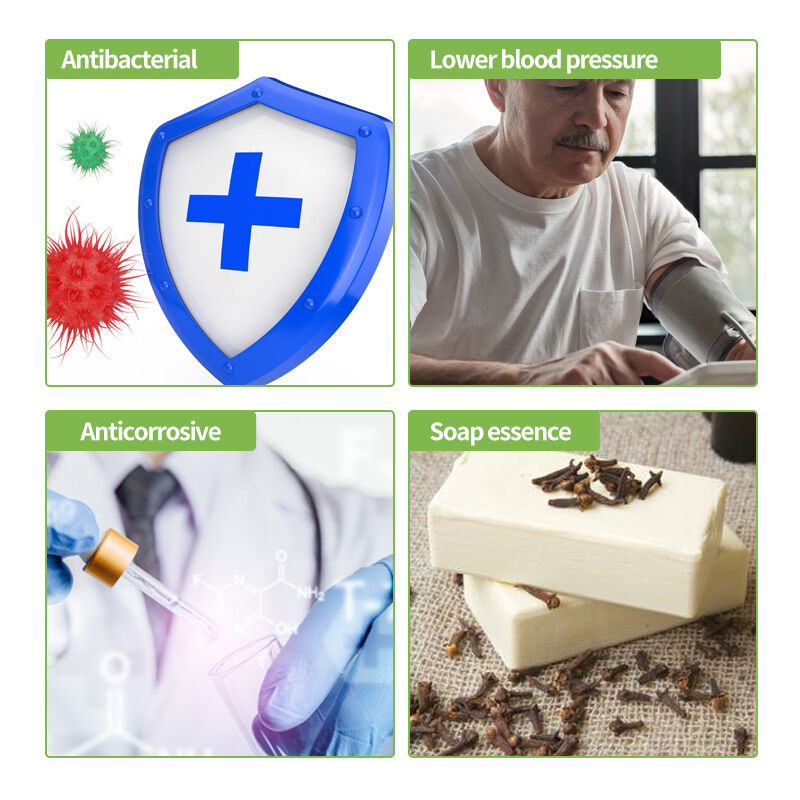 Manufacturers Safely Deliver Clove Leaf Oil High Purity 99% Low Price