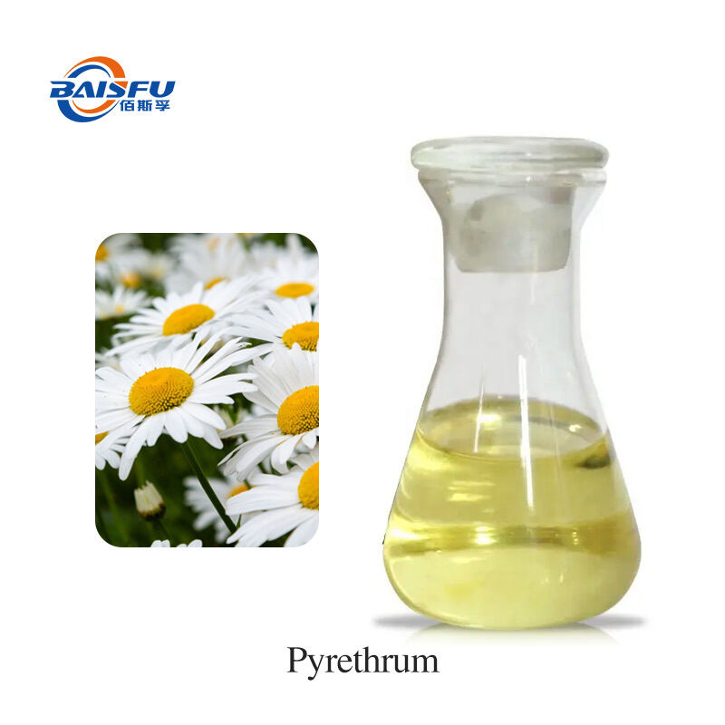 Baisifu Professional Supply Pyrethrum Extract Pyrethrum Water-Soluble Pyrethrins 50% CAS 8003-34-7 Yellow Liquid For Biocide