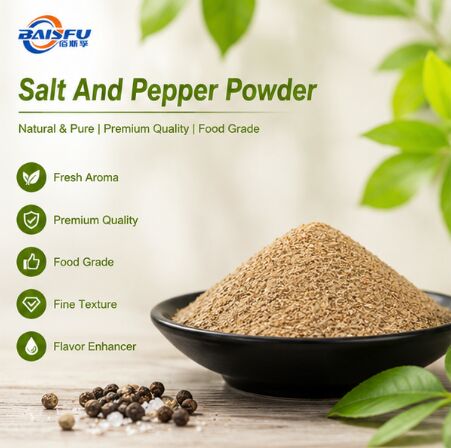 Premium Salt And Pepper Powder Flavor for Fried Snack Coating French Fries Seasoning and Potato Wedges