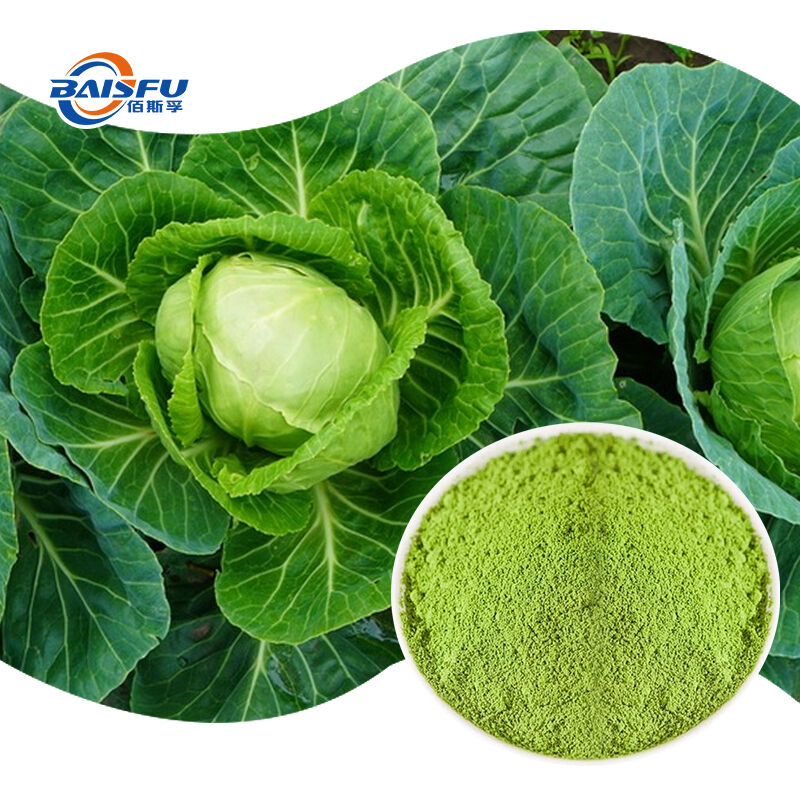 Baisfu Wholesale Natural Freeze Dried Green Cabbage Powder Food Grade Health Supplement Food Coloring Agents For Smoothies Baking