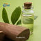 99% Sandela 803 Natuurlijke plantaardige essentiële olie CAS 66068-84-6 Voor parfum