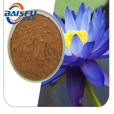 Clear Solubility Lilac Flower Bud Extract Powder for Enhanced Health and Wellness