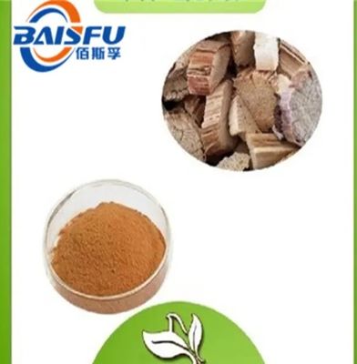 100% High Quality Akebia Caulis Extract / Akebia Caulis Extract Powder / Akebia Stem P.E.