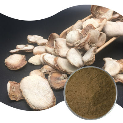 Baisfu plant extract Brown powder Thunberg Fritillary Bulb Pale brown powder for officinal